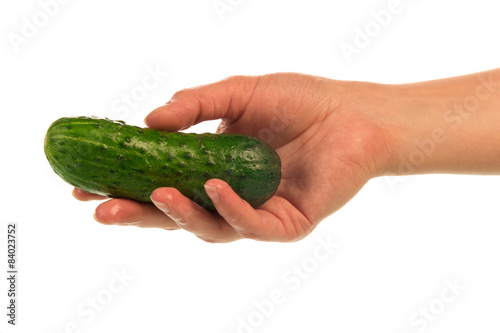 Fresh cucumber in hand