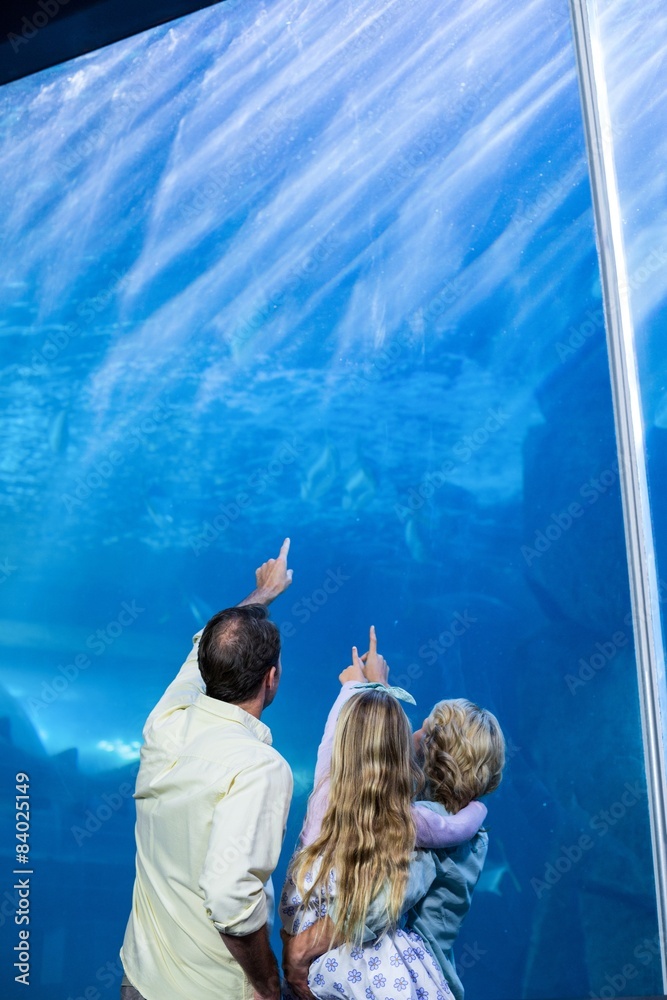 Fototapeta premium Happy family looking at the fish tank