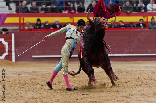 Bullfighter and bull in action
