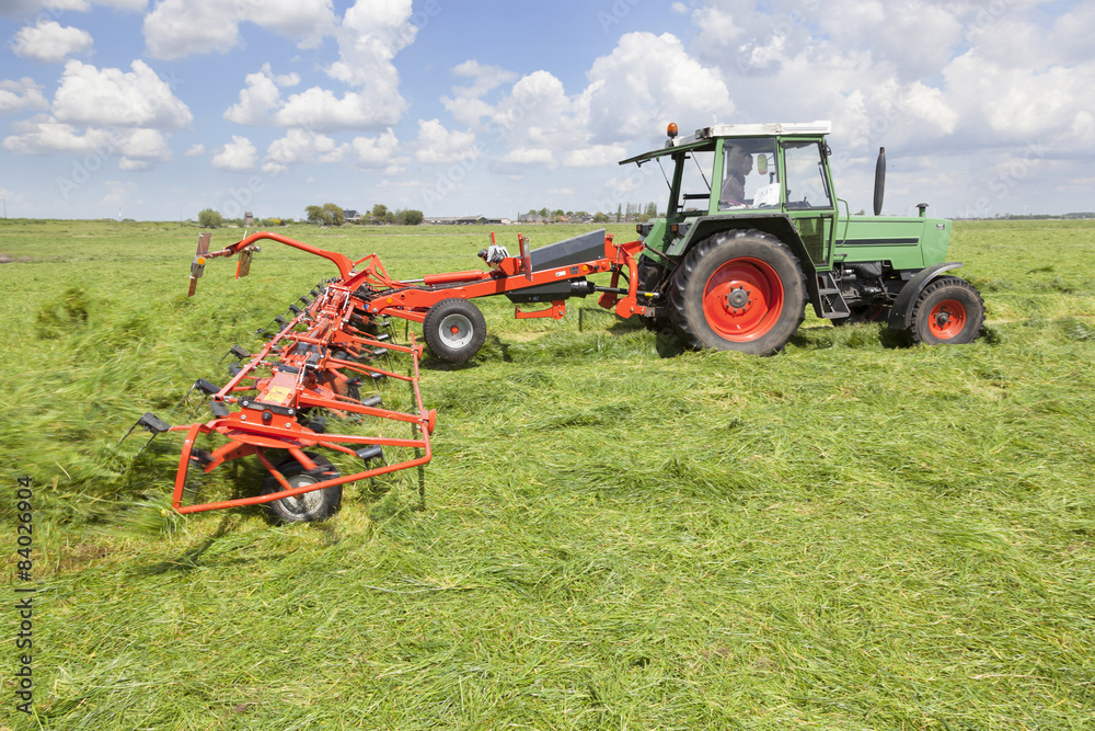Obraz premium red hay turner in green meadow in the netherlands