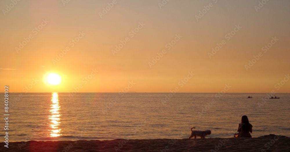 girl and dog on beach. 