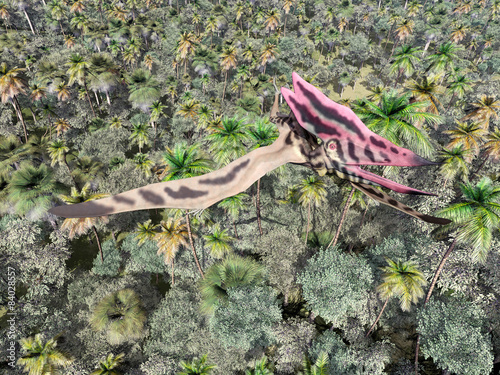 Pterosaur Thalassodromeus over the jungle photo