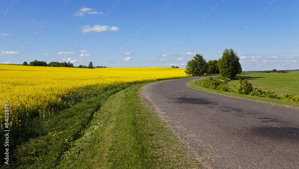 Naklejka premium the asphalted road 