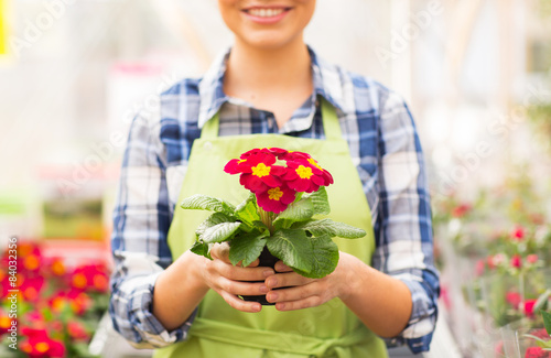 close up of woman holding flowers in greenhouse
