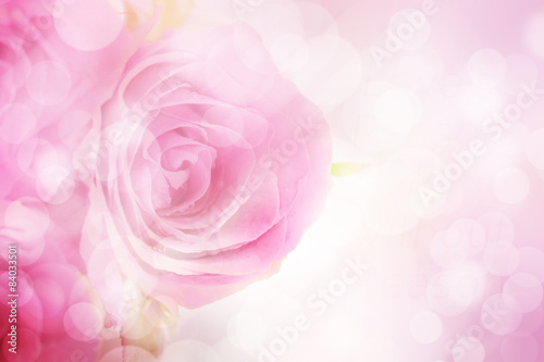 Sweet pink roses with bokeh effect on pink background. photo