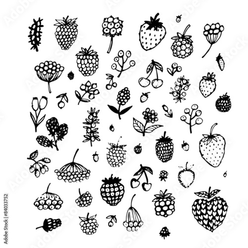 Berries collection, sketch for your design