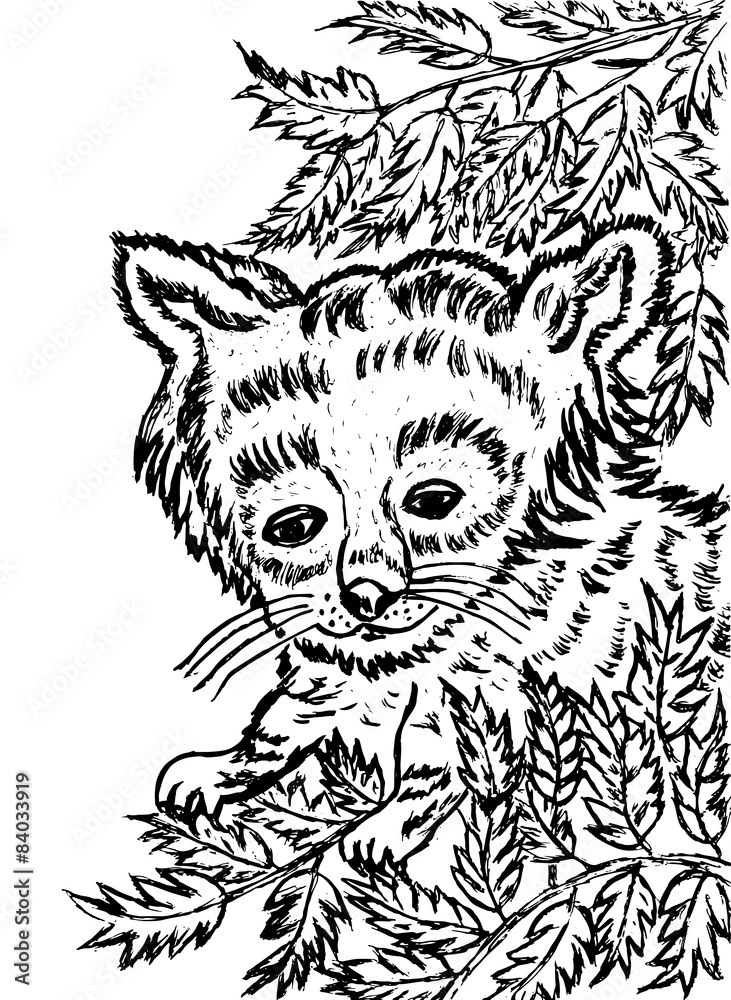 Obraz premium Red Panda Sketch