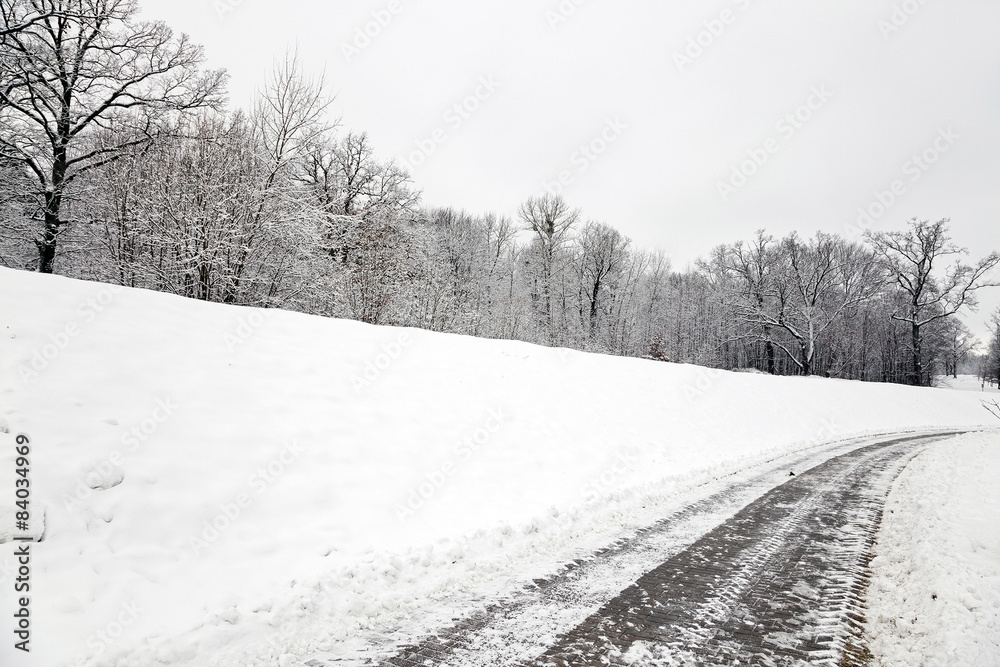 Obraz premium the winter road 