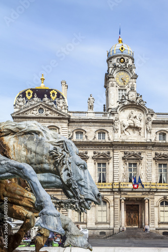 Horse statue before the Lyon City Hall photo