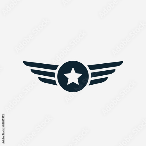 Aviation wings icon Fototapet