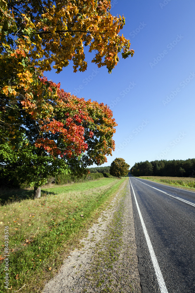 roadside road in autumn  