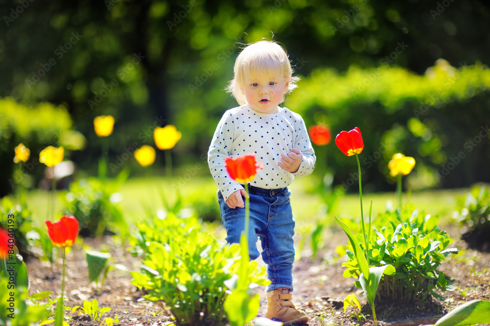 Toddler boy walking in the garden Toddler boy walking in the garden