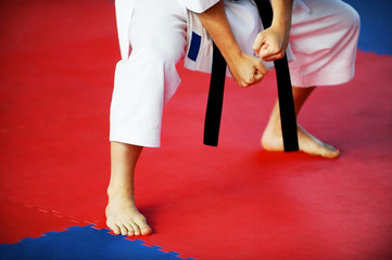 Ingelijste posters Vechtsport Karateka tijdens competitievloer optreden  © roibu