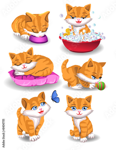 cat doing different activities on a white background