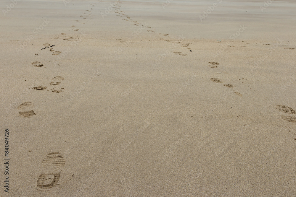 foot prints in the sand at the beach foot prints in the sand at the beach