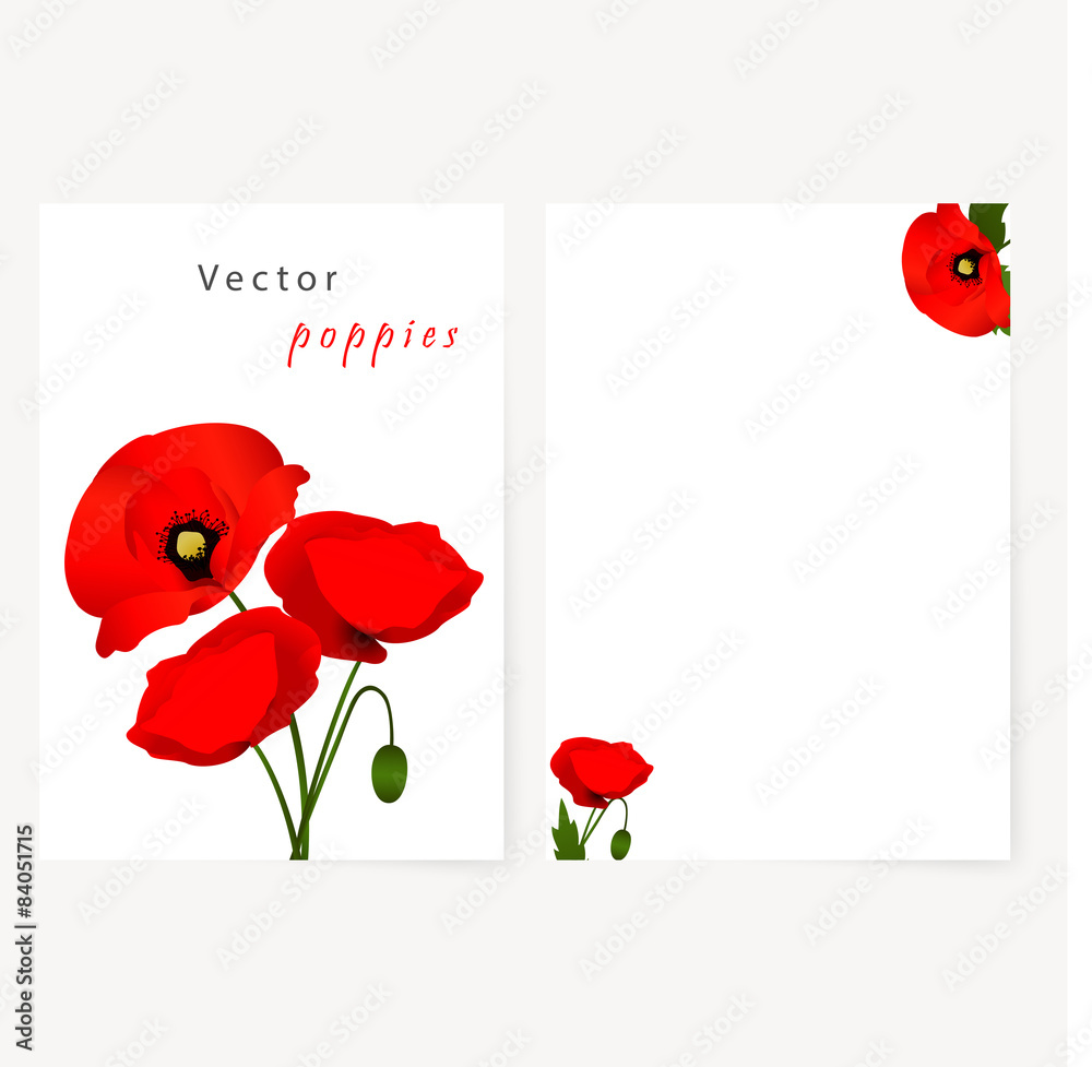 Template card with red flowers poppies - obrazy, fototapety, plakaty 