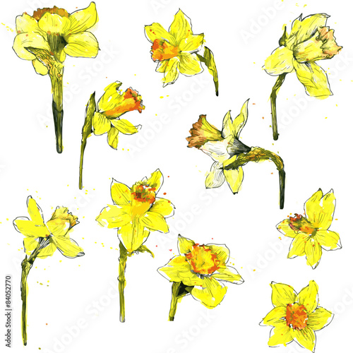 watercolor vector floral set