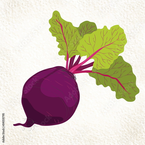 raw beets with leaves