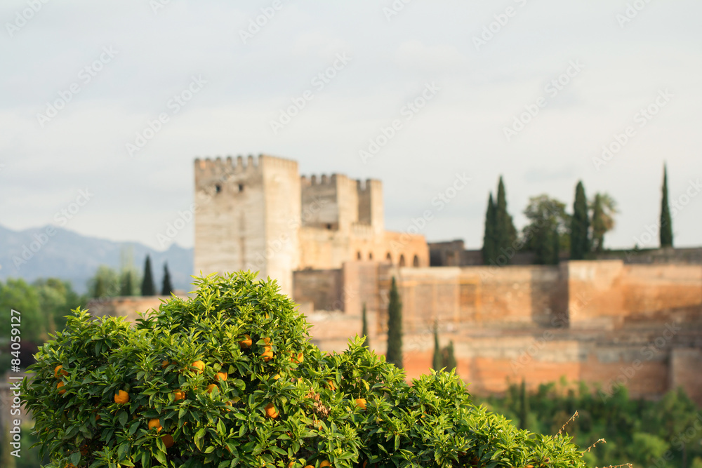 Obraz premium alhambra palace in spain