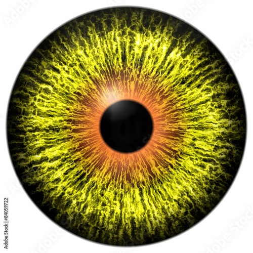 Yellow alien eye with orange ring around the pupil