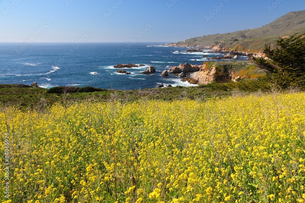 California landscape - Pacific Coast