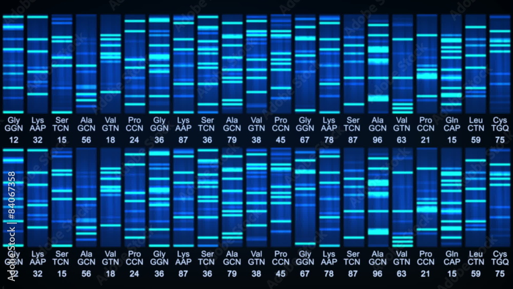 Dna sequence animation.