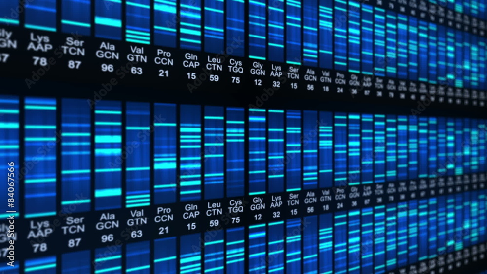 Dna sequence animation.