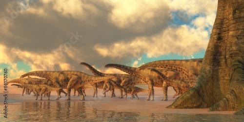 Fototapeta Naklejka Na Ścianę i Meble -  Spinophorosaurus Dinosaur Travel