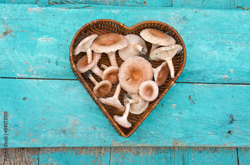 edible mushrooms fungi in heart form wicker basket