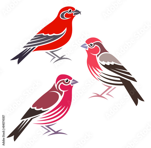 Stylized Birds - Red Crossbill, House Finch, Purple Finch photo