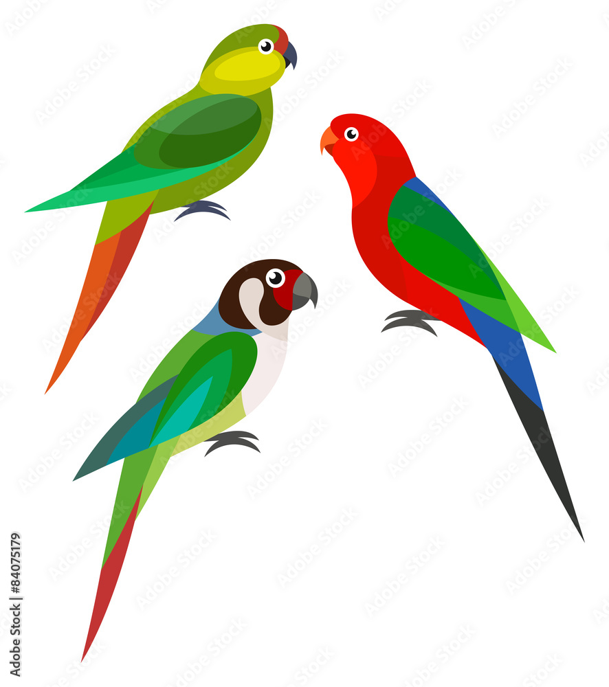 Obraz premium Stylized Birds - Parrots
