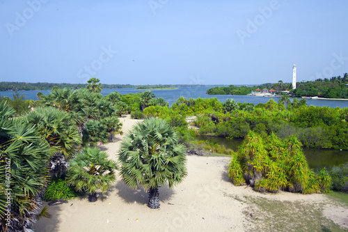 Bild auf Leinwand Palameenmadu natural reserve, Batticaloa, Sri Lanka