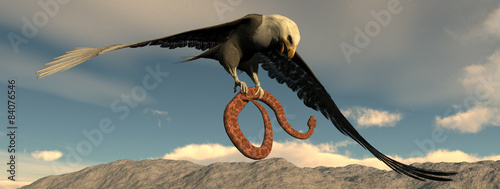 Eagle and snake photo