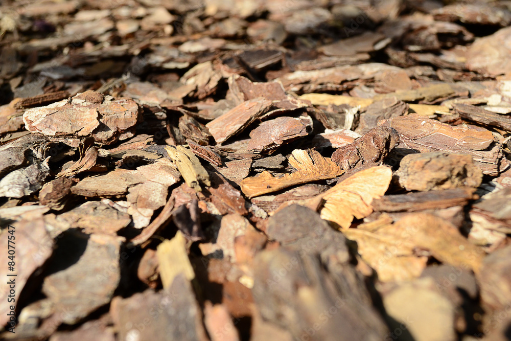 Pieces of bark on the ground forming an interesting texture