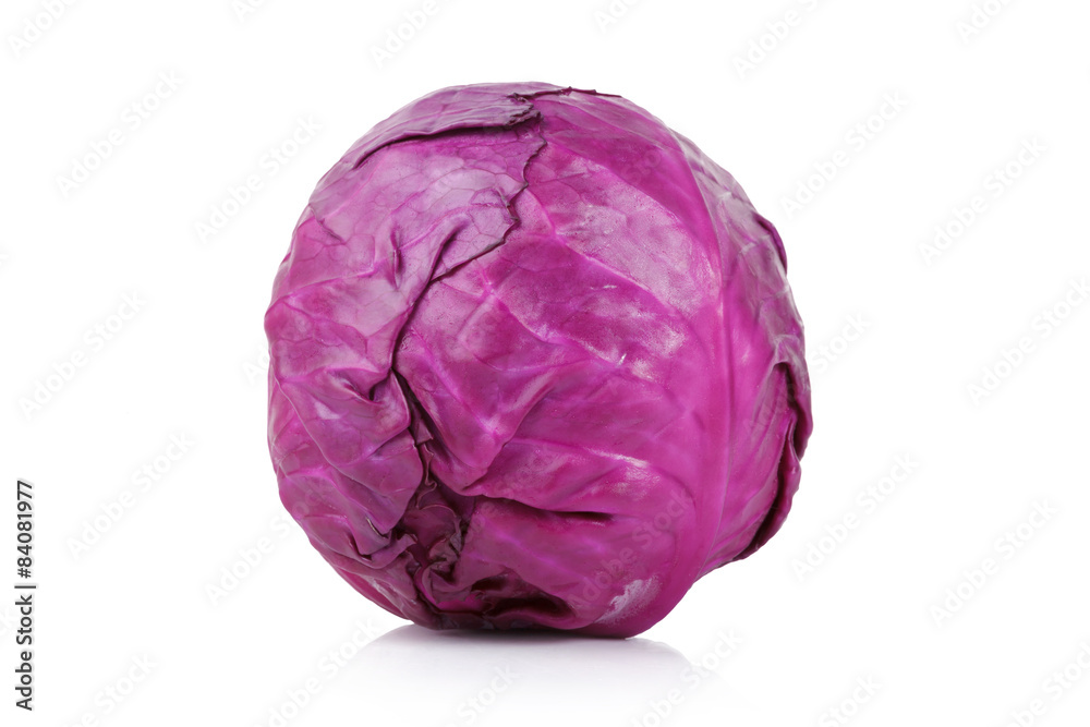 red cabbage red cabbage