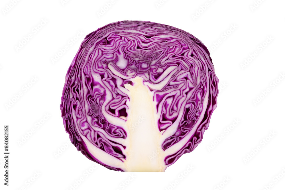 red cabbage red cabbage