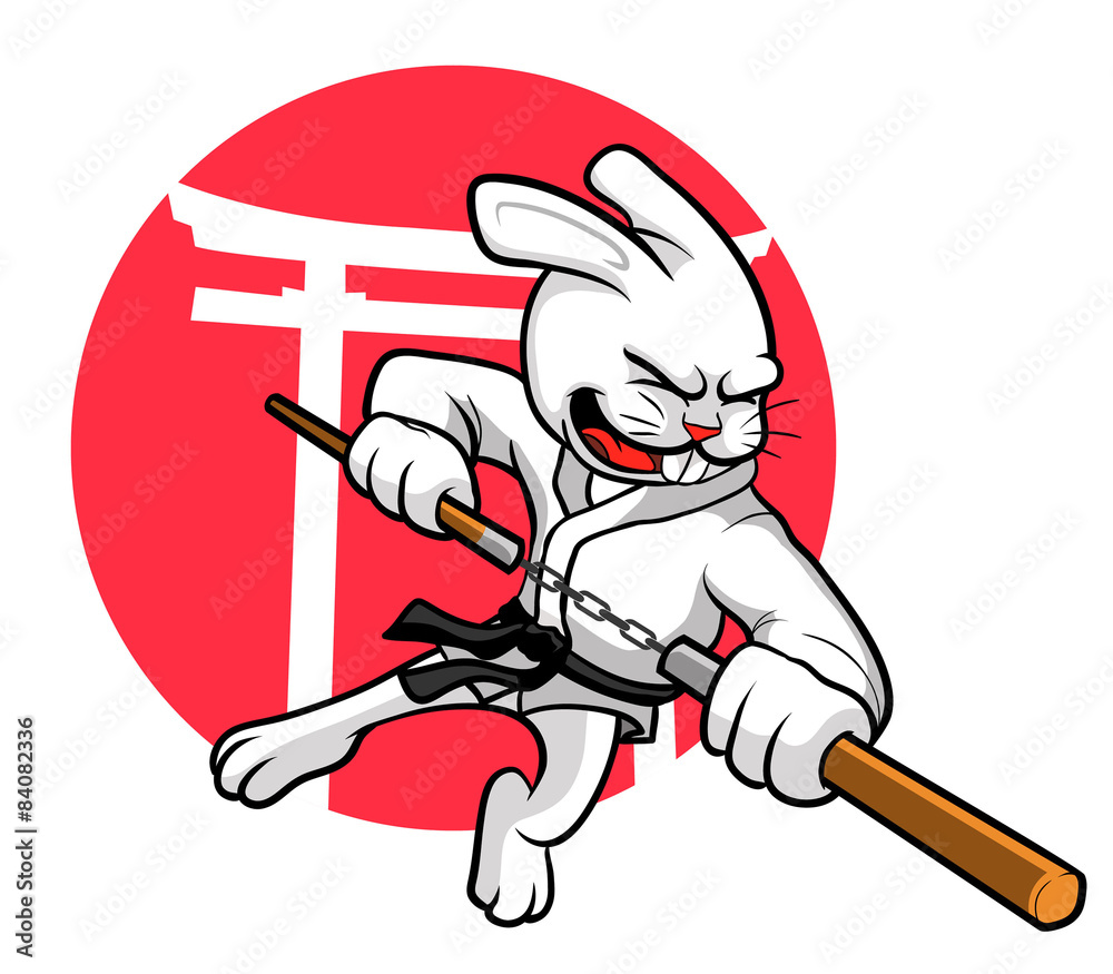 Fototapeta premium A rabbit with double stick or nunchaku in his hand. 