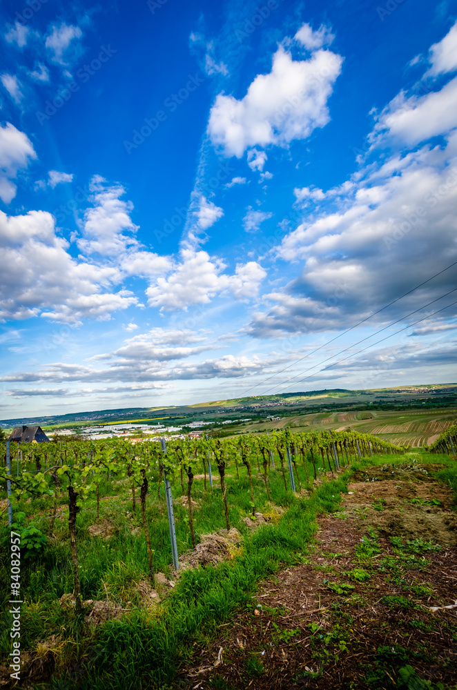 Obraz premium am Mittelrhein 26