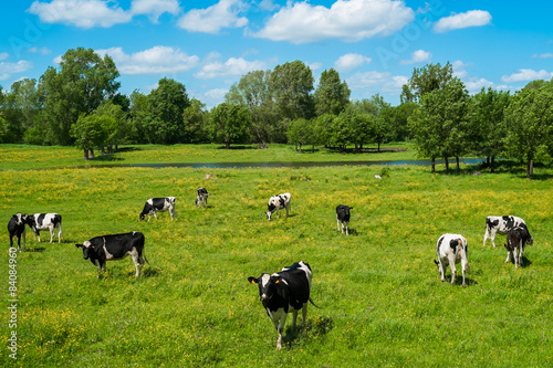 Countryside