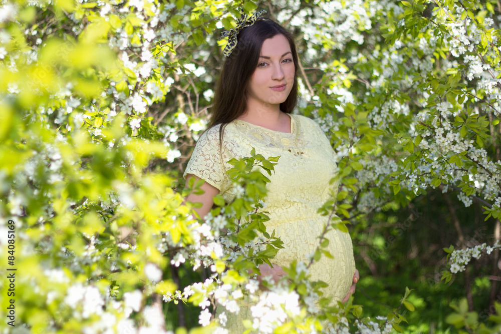 beautiful pregnant woman in blooming cherry garden beautiful pregnant woman in blooming cherry garden