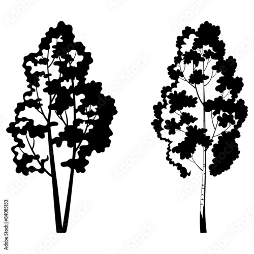 Trees, birch and symbolic silhouette