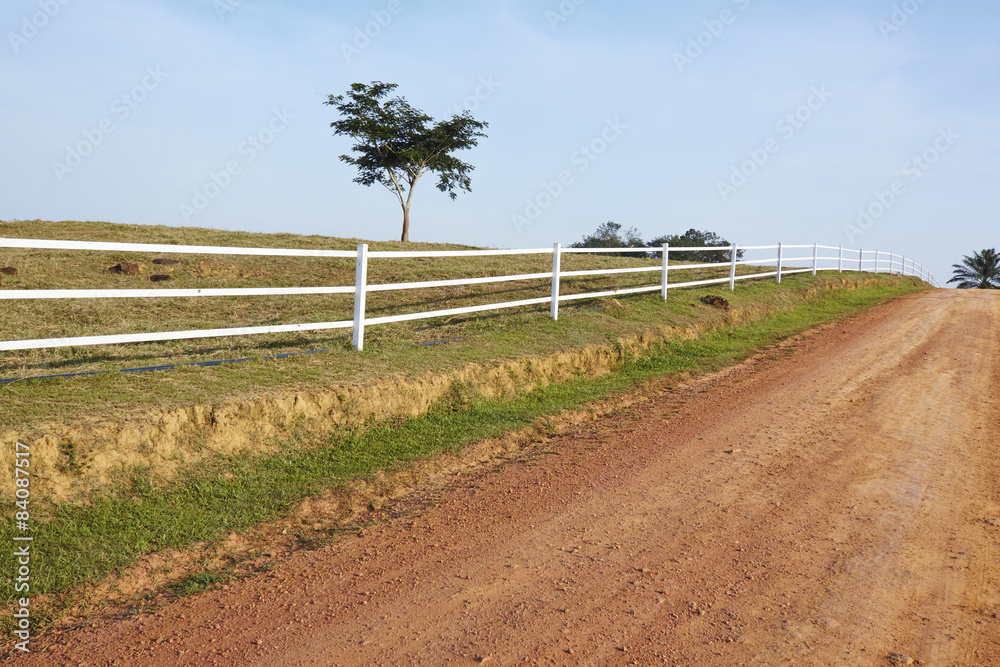 rural road in farm