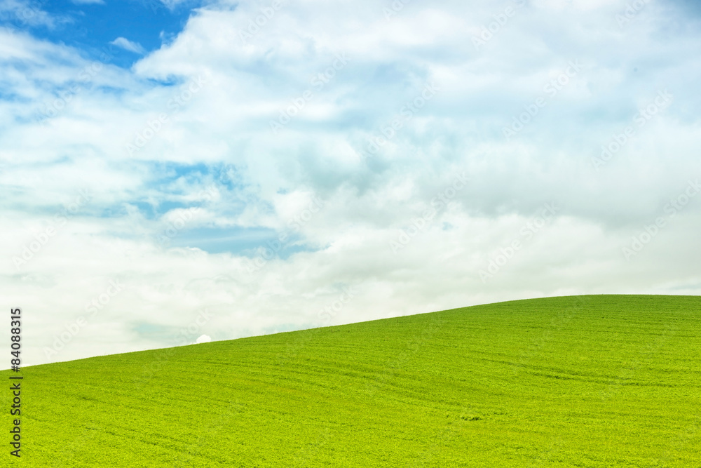 Background of green field with blue sky