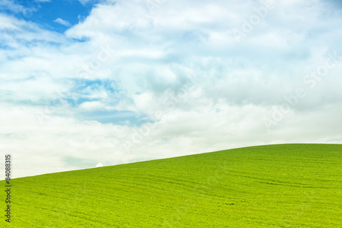 Background of green field with blue sky