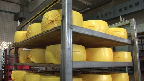 Plant for the production of cheese. cheese packaging photo