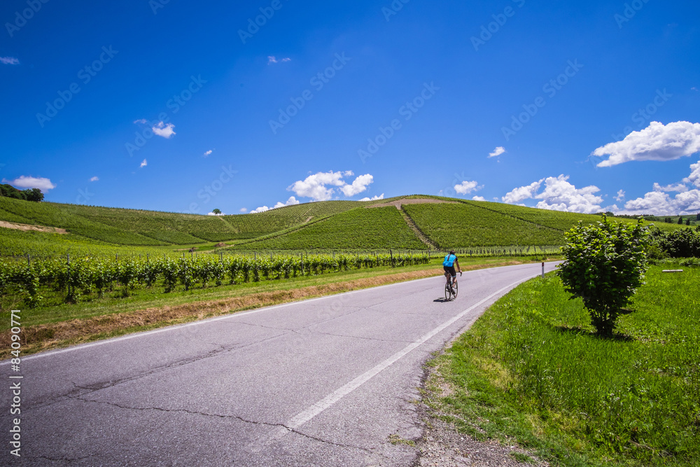 Obraz premium Ciclista pedala su strada nelle colline delle langhe