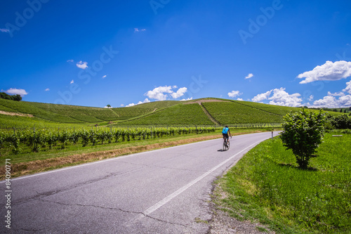 Fototapeta Naklejka Na Ścianę i Meble -  Ciclista pedala su strada nelle colline delle langhe