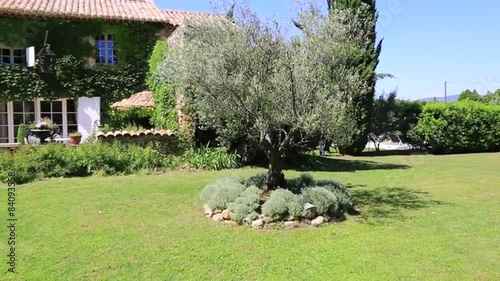 la provence, Olivier