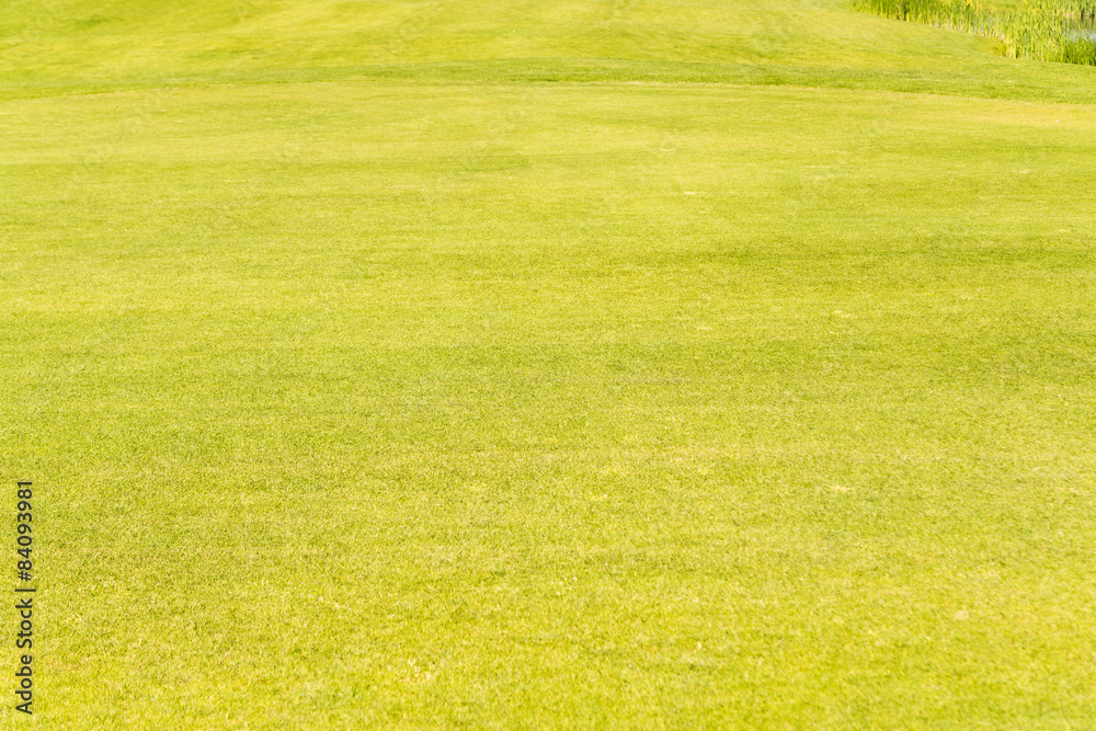 Lawn with green grass. Lawn with green grass.