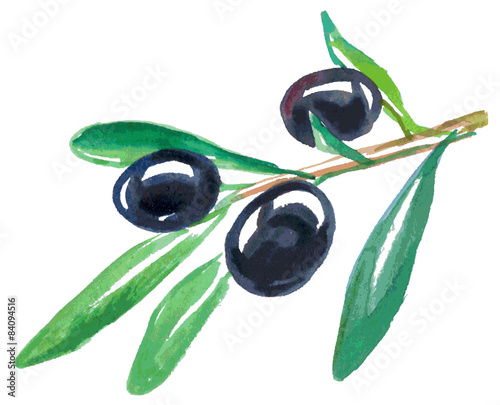 black olives watercolor